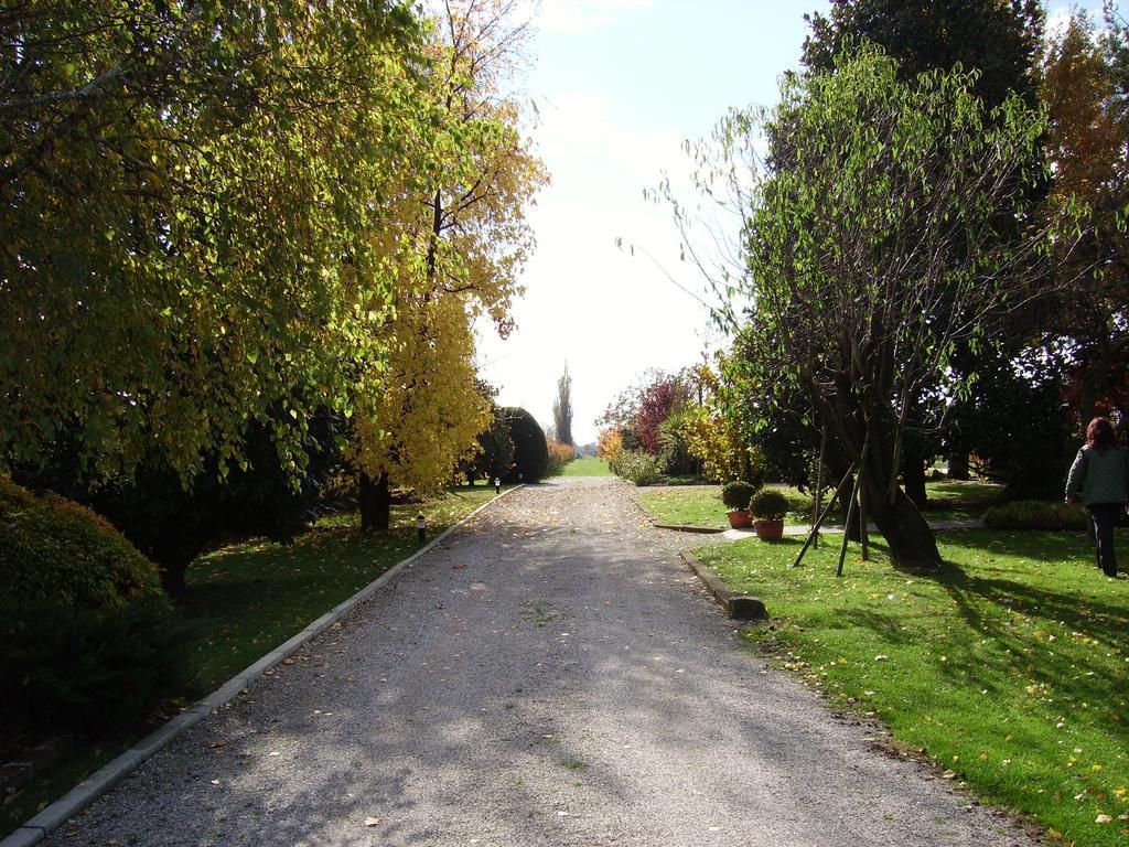Villa Casa Country Bovolenta Exterior foto